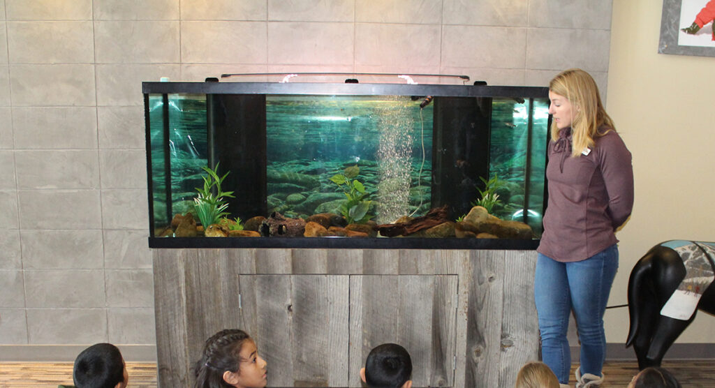 Trout in the Classroom Wood River Community YMCA
