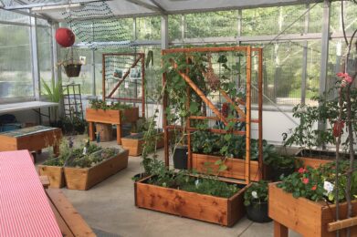 1 Garden Indoor July 2017