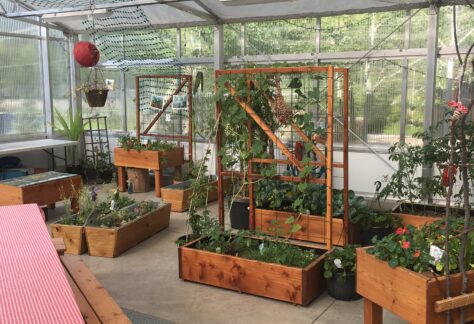 1 Garden Indoor July 2017